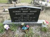 image of grave number 950469